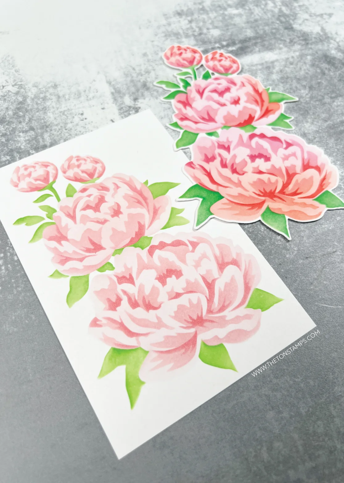 Peony Flower Mini Happy Pansy  - Kraft Box Candle ulasan dan harga